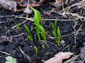 Things Popping Over Place!