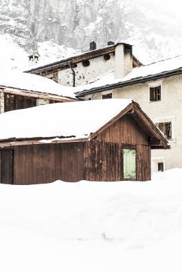 Winter woods _DSC6074