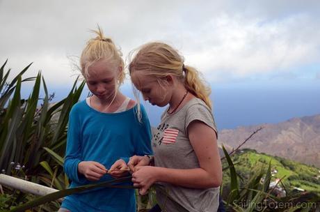 11 flax leaves girls st helena