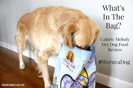Weruva Caloric Melody Dog Food #WeruvaDog #ad Weruva Caloric Melody healthy dog food review