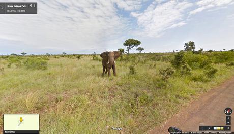 Go on an African Safari with Google Street View