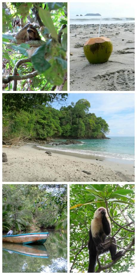 Nature & Wildlife in Manuel Antonio, Costa Rica