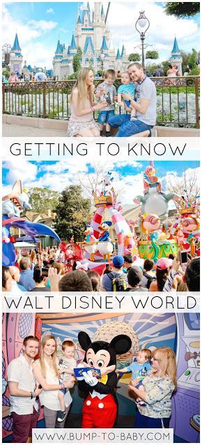 Getting to know Walt Disney World