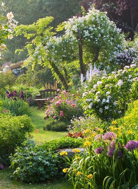 Gorgeous Gardens - little backyard hideaways