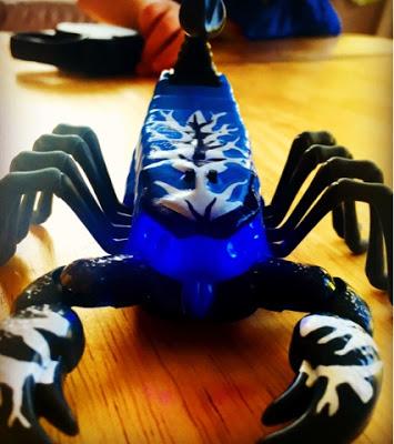 Meet our Wild Pets Scorpion - Thorn
