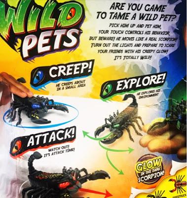 Meet our Wild Pets Scorpion - Thorn