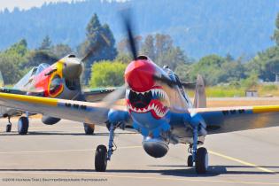 2010 Wings Over Wine Country, P-40 Warhawk,