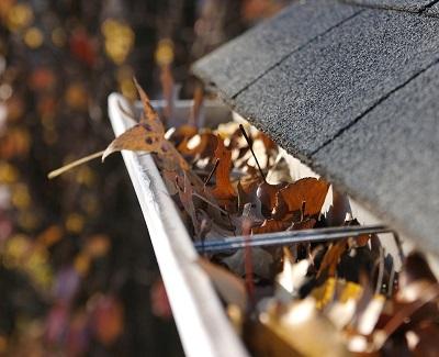 roof and water intrusion2