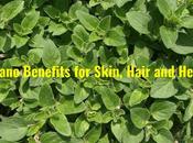 Oregano Benefits Uses Skin, Hair Health