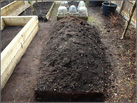 Raised bed progress report