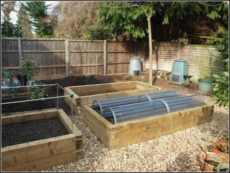 Raised bed progress report