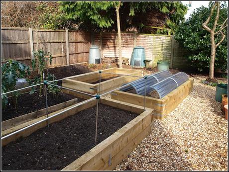 Raised bed progress report