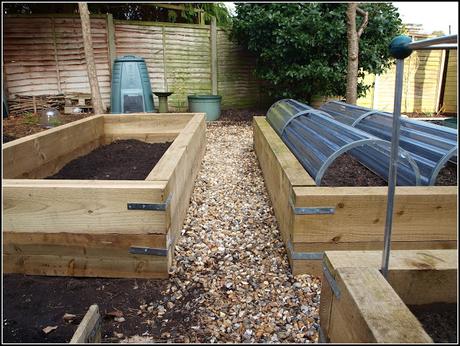 Raised bed progress report