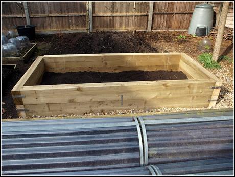 Raised bed progress report