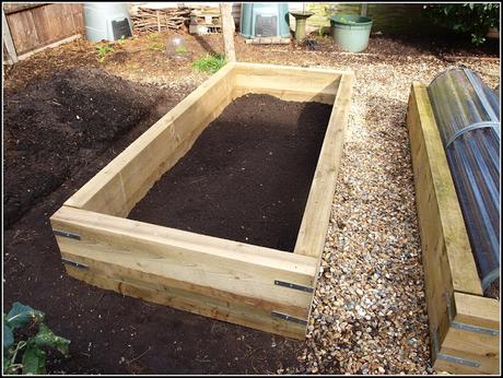 Raised bed progress report