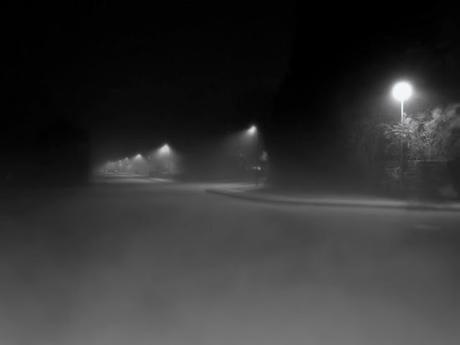 Fog [Wordless Wednesday]