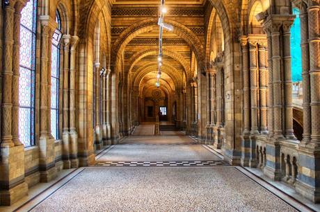 In & Around London… A Visit to the Natural History Museum @NHM_London