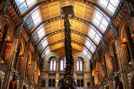 In & Around London… A Visit to the Natural History Museum @NHM_London
