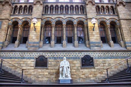 In & Around London… A Visit to the Natural History Museum @NHM_London