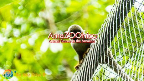 AmaZOOnico animal rescue