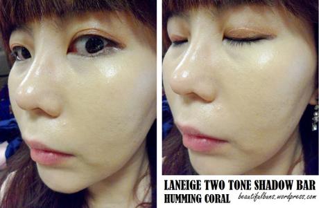 Laneige Two Tone Shadow Bar (10)