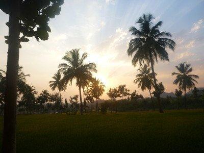 Backpacking in India: Staying in Paradise at Mowgli Guest House in Virupapuragaddi, Hampi Backpacking in India: Staying in Paradise at Mowgli Guest House in Virupapuragaddi, Hampi