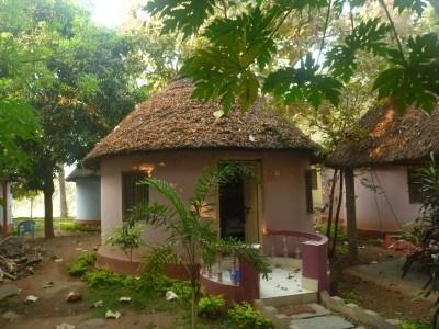 Backpacking in India: Staying in Paradise at Mowgli Guest House in Virupapuragaddi, Hampi My pink hut