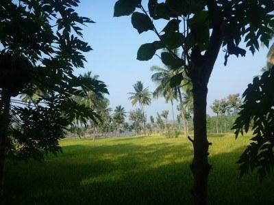 Backpacking in India: Staying in Paradise at Mowgli Guest House in Virupapuragaddi, Hampi Backpacking in India: Staying in Paradise at Mowgli Guest House in Hampi
