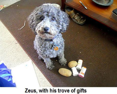 Zeus2