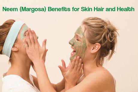 Neem Margosa Benefits Uses