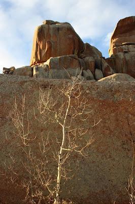 Of Woolsacks, Witches, Cheesewrings & Tors