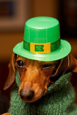 #StPatricksDay holiday posts on #PawsForReaction