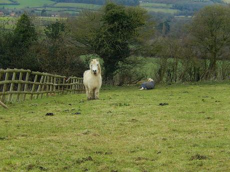 Pensford and the Two Rivers Way (Part 2)