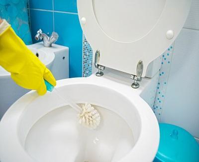 A to Z Tips About Blocked Toilets Blocked Toilets