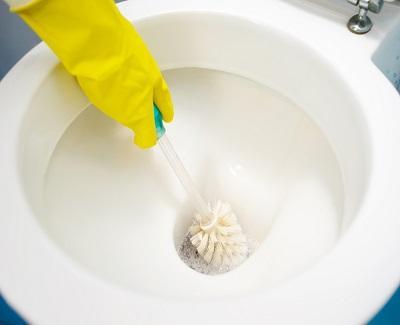 A to Z Tips About Blocked Toilets Blocked Toilet