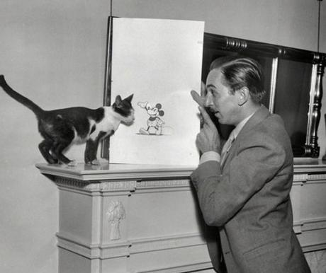 This Cat Is WIth Walt Disney