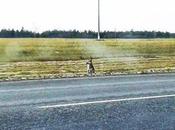 Waits Siberian Cold Year Side Road Where Owner Killed