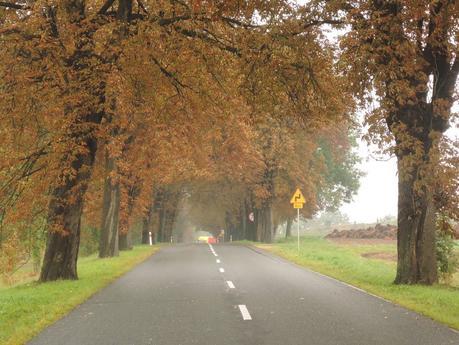 Szeroka droga Empieza el otoño, continúa la ruta