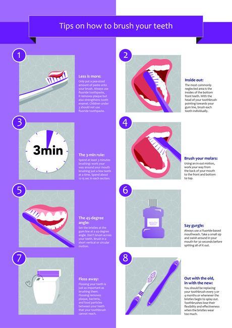 How To Properly Brush Your Teeth Infographic