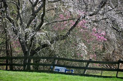 The Vernal Equinox -- And It's Spring!