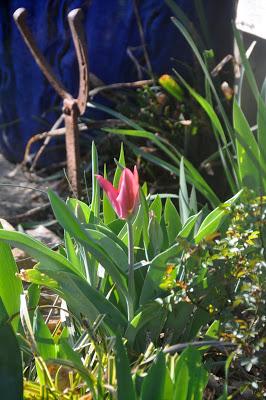 The Vernal Equinox -- And It's Spring!