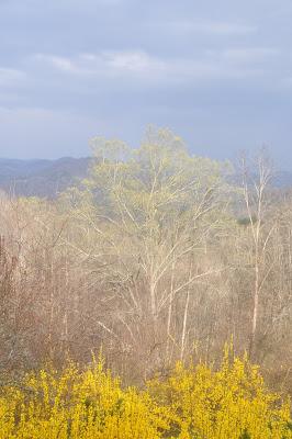 The Vernal Equinox -- And It's Spring!