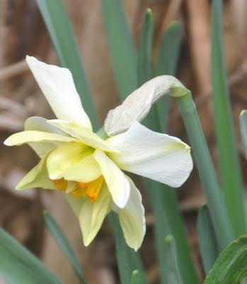 The Vernal Equinox -- And It's Spring!