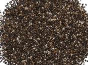 Every Cracked Sidewalk