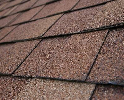 Home-Savvy with Asphalt Shingle Roofs2