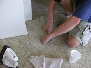 Why Go for Professional Carpet Repairing Services?