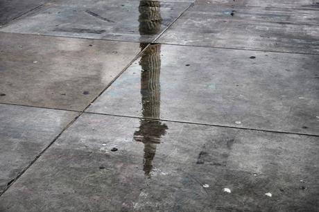 In & Around London… A Rainy Night In the West End