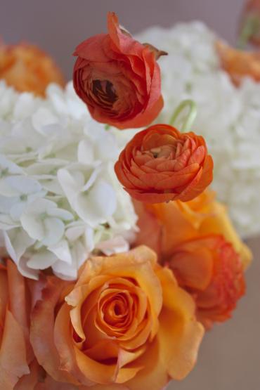 Bright Orange Spring Blooms for Easter