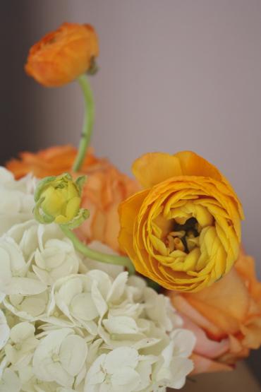 Bright Orange Spring Blooms for Easter