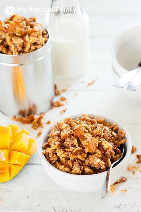 The Best Paleo Cereal and Granola Recipes (Grain Free, SCD, GAPS)